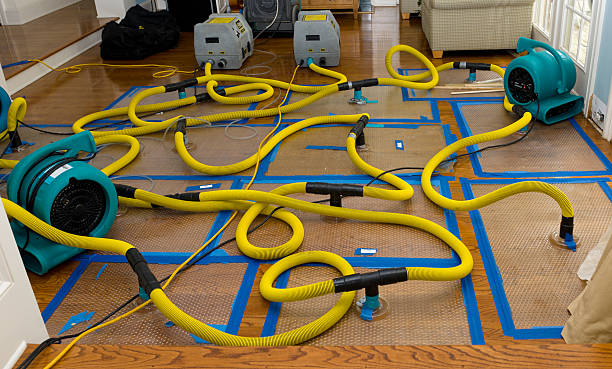 Professional Water Extraction technician working in East Orland, ME